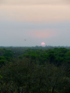Pantanal sunset Pantanal sunset Brazil,Pantanal,Sunset