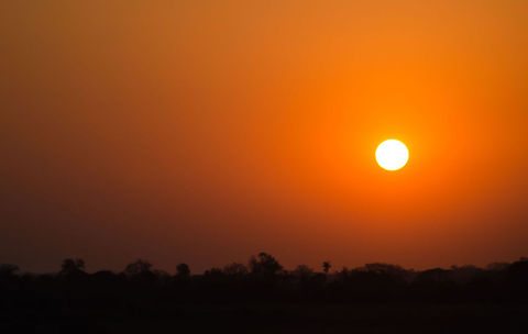 Pantanal sunset The sun sets fast in the Pantanal area, better be back in your accommodation in time :) Brazil,Pantanal,Sunset