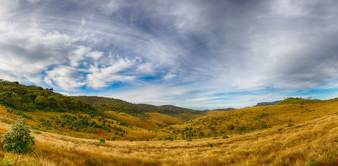Horton Plains landscape - V, Sri Lanka  Asia,Horton Plains,Sri Lanka