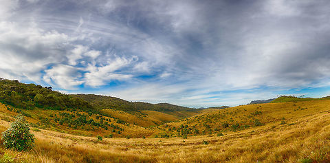 Horton Plains landscape - V, Sri Lanka  Asia,Horton Plains,Sri Lanka
