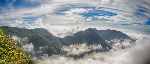World's End, Horton Plains, Sri Lanka The most popular attraction of Horton Plains National Park is this "World's End", a giant cliff that goes 4,000 feet down. Your view strongly depends on weather conditions, which can change in minutes. As you can see, it was quite cloudy when we arrived.

By coincidence, last week I read an amazing story regarding World's End in a local dutch paper. A dutch couple visited yet the guy tripped (there's no fences) and fell down the cliff. Needless to say, the wife was going insane as she just lost her husband. Yet the guy was on an edge only 5m below and made himself heard. With everybody both happy and in panic mode at the same time, it happened again(!). He fell again, this time to 20m below the edge. He had a tiny space of ground to stand on but could only manage to balance on it by holding on to vegetation.

As locals were inventing ways to save him, after 20 mins he was losing any sense of feeling in his hands, and he was again struggling for his life. Through many people tying their coats together, they eventually managed to pull him out, unharmed.

He is the only survivor of a World's End fall, ever. I don't know how many people fell, but it sure is an amazing story, you just can't make this up. Asia,Horton Plains,Sri Lanka,World's End