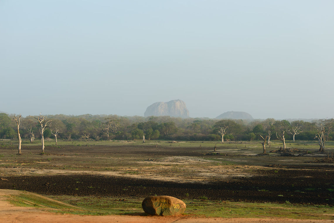 Elephant Rock, Yala National Park A remote view of &quot;Elephant Rock&quot; in Yala NP. You can&#039;t see it from this distance, but it actually does look like and elephant up close. Asia,Sri Lanka,Yala