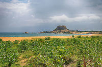 Yala meets the ocean This is the south of Yala National Park, which borders the ocean. The 2004 tsunami hit this area hard, killing 250 people by estimation.  Asia,Sri Lanka,Yala