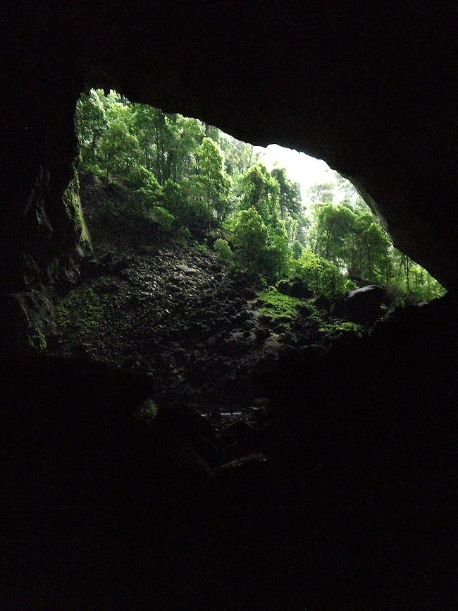 The Garden of Eden A small exit at the end of the Deer Cave, called The Garden of Eden. One of the most impressive things I have ever seen...a stroke of light, green and life after walking the mysteriously dark high-ceiling Deer Cave. Caves,Geotagged,Malaysia