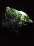 The Garden of Eden A small exit at the end of the Deer Cave, called The Garden of Eden. One of the most impressive things I have ever seen...a stroke of light, green and life after walking the mysteriously dark high-ceiling Deer Cave. Caves,Geotagged,Malaysia