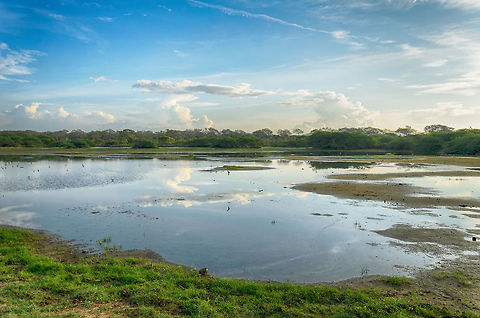 Welcome to Bundula Our first view of Bundula National Park in the early morning. Bundula is a national park and wetland that is important for migratory birds. According to Wikipedia, Bundula harbors 197 species of birds. Asia,Bundula,Fall,Geotagged,Sri Lanka