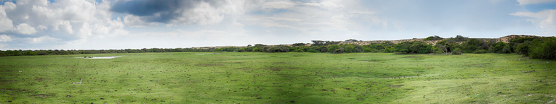 Bundula wetlands, Sri Lanka A mega panorama of some swampy plains in Bundula, Sri Lanka. Not the most interesting photo, just a view on the habitat. Asia,Bundula,Sri Lanka