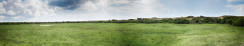 Bundula wetlands, Sri Lanka A mega panorama of some swampy plains in Bundula, Sri Lanka. Not the most interesting photo, just a view on the habitat. Asia,Bundula,Sri Lanka