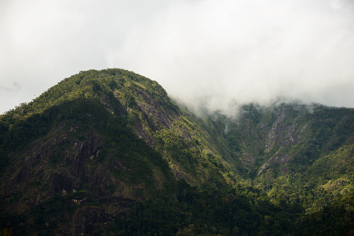 Marojejy misty mountain peaks, Madagascar  Africa,Geotagged,Madagascar,Madagascar North,Marojejy,Spring,World