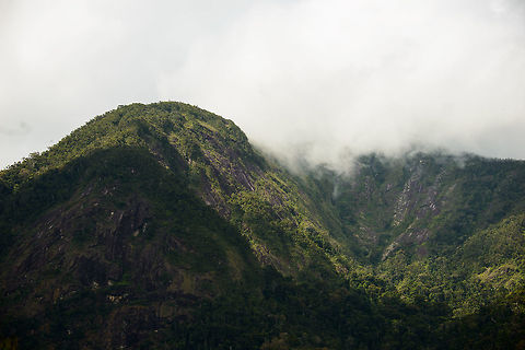 Marojejy misty mountain peaks, Madagascar  Africa,Geotagged,Madagascar,Madagascar North,Marojejy,Spring,World