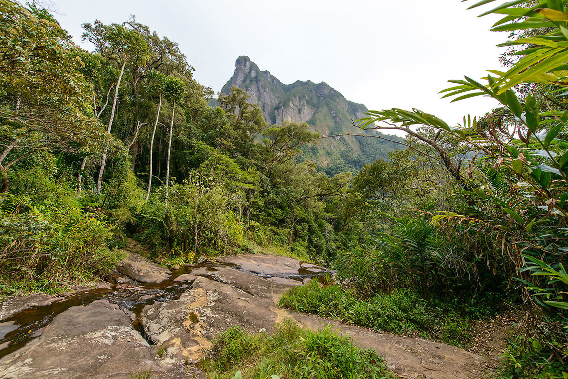 Arriving in Camp Marojejia, Marojejy On our 2nd day on Marojejy, we did the hike from camp 1 to camp 2, also called camp Marojejia. It&#039;s a short hike of 2 km only, with a steep end. In this scene you can see the &quot;leaning rock&quot;, the Ambatotsondrona peak. Note the small stream on the rocky plain. If you&#039;d follow it (it&#039;s just around the corner in this photo), the rock ends into a steep cliff. As it is a weak stream only and due to the rock being horizontal, you can simply sit at the very end of this &quot;waterfall&quot; and look downwards. We spend several hours here in the morning and evening just for the view.<br />
<br />
Elevation at this point is 775 m (2,543 ft). Out of the 3 camps, this one is reported to be best for trying to find the Silky Sifaka. It is strongly recommended that you hire a local specialist for this (a Simpona tracker).  Africa,Geotagged,Madagascar,Madagascar North,Marojejy,Spring,World