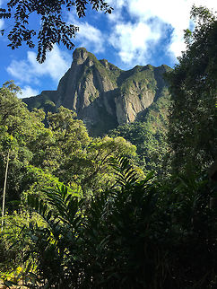 Leaning rock, the Ambatotsondrona peak Marojejy, Madagascar. A quick snap by my girlfriend on her phone, I'm really liking the composition. Africa,Madagascar,Madagascar North,Marojejy,World