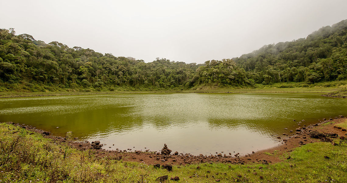 Volcanic Lake in Amber Mountain, Madagascar Admittedly a pretty dull scene due to the misty sky. This is one of several volcanic lakes in Amber Mountain national park. At the time of our visit, over half of the park was closed down for security reasons, so this was one of two lakes we had access to. I don&#039;t recall the name of this specific lake. <br />
<br />
Getting to this lake took a pretty long hike down a difficult path. You could see the disappointment on other tourists&#039; faces when they arrived, realizing there&#039;s not much to see, and knowing they now have to climb the steep path up again. Amusing :) Africa,Amber Mountain,Geotagged,Madagascar,Madagascar North,Spring,World