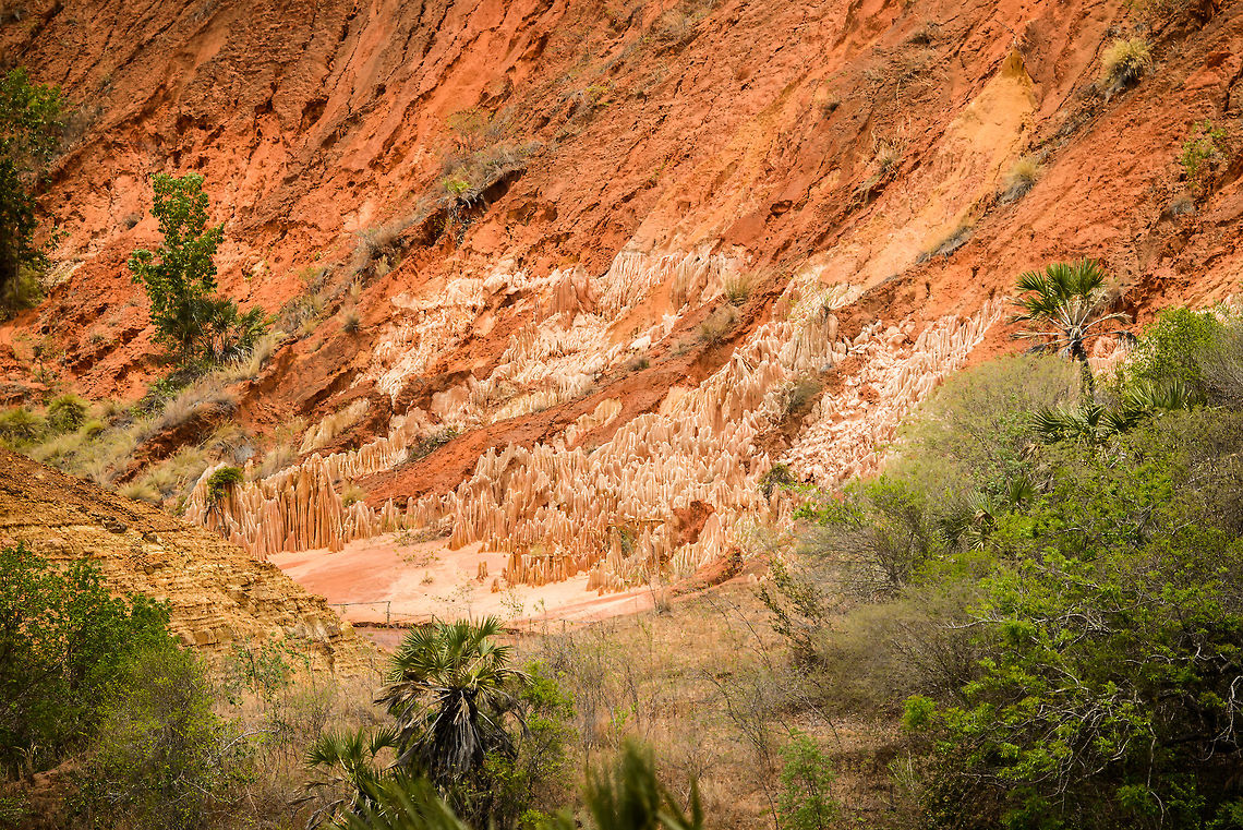 Red Tsingy | Tsingy Rouge full site This is the entirety of the Red Tsingy, as seen from the parking lot nearby. It's a fairly small site to visit, expect to see it all in about 30 mins, yet taking almost your entire day to get there and back :)<br />
<br />
Contrary to Madagascar's limestone tsingy, these spikes are short-lived, and did not exist 50 years ago. They are a result of deforestation, after which erosion by water and wind shaped the underlying rock, which is not limestone, it is laterite (a type of clay). Africa,Geotagged,Madagascar,Madagascar North,Red Tsingy,Spring,Tsingy Rouge,World