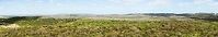 Wall of Ankarana, mega panorama On our first day in Ankarana, we hiked for a few hours to reach this lookout point from which we could see almost all of Ankarana. This photo is a mega panorama of 10 stitched images, showing almost all of the "wall of Ankarana", containing several kilometers of tsingy bordered by cliffs.<br />
<br />
This is a 140MP photo in which you can zoom into the individual rocks of this enormous wall. Instructions:<br />
1) make sure you are signed in<br />
2) click the photo to launch it full screen<br />
3) click the "load original" button in the header and wait for it to load<br />
4) zoom and pan around using your mouse wheel <br />
<br />
Note that this photo is so large that it may hang your browser for periods of time, so be patient. Africa,Ankarana,Geotagged,Madagascar,Madagascar North,Spring,World