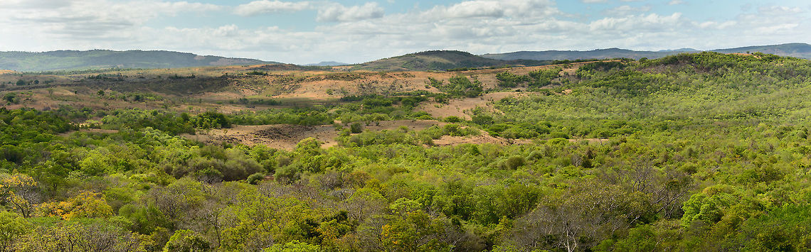 Ankarana National Park slopes On our first day in Ankarana, we hiked for a few hours to reach this lookout point from which we could see almost all of Ankarana. This is a stitched panorama of the view behind us (which is east, I think). As you can see, the general park habitat is a mixture of dry forest and savanna patches. Ankarana isn&#039;t famous for its forest though, it is a Tsingy site and also has an cave system that is likely the largest in the whole of Africa.<br />
<br />
To experience the full detail of this photo:<br />
1) make sure you are signed in<br />
2) click the photo to launch it full screen<br />
3) click the &quot;load original&quot; button in the header and wait for it to load<br />
4) zoom and pan around using your mouse wheel<br />
<br />
The view when we turned around, showing the actual Tsingy:<br />
<figure class="photo"><a href="https://www.jungledragon.com/image/38332/wall_of_ankarana_mega_panorama.html" title="Wall of Ankarana, mega panorama"><img src="https://s3.amazonaws.com/media.jungledragon.com/images/2/38332_thumb.jpg?AWSAccessKeyId=05GMT0V3GWVNE7GGM1R2&Expires=1767225610&Signature=JIOGbahjmHveB9DLJRdPHIKTN%2BM%3D" width="200" height="34" alt="Wall of Ankarana, mega panorama On our first day in Ankarana, we hiked for a few hours to reach this lookout point from which we could see almost all of Ankarana. This photo is a mega panorama of 10 stitched images, showing almost all of the &quot;wall of Ankarana&quot;, containing several kilometers of tsingy bordered by cliffs.<br />
<br />
This is a 140MP photo in which you can zoom into the individual rocks of this enormous wall. Instructions:<br />
1) make sure you are signed in<br />
2) click the photo to launch it full screen<br />
3) click the &quot;load original&quot; button in the header and wait for it to load<br />
4) zoom and pan around using your mouse wheel <br />
<br />
Note that this photo is so large that it may hang your browser for periods of time, so be patient. Africa,Ankarana,Geotagged,Madagascar,Madagascar North,Spring,World" /></a></figure> Africa,Ankarana,Geotagged,Madagascar,Madagascar North,Spring,World