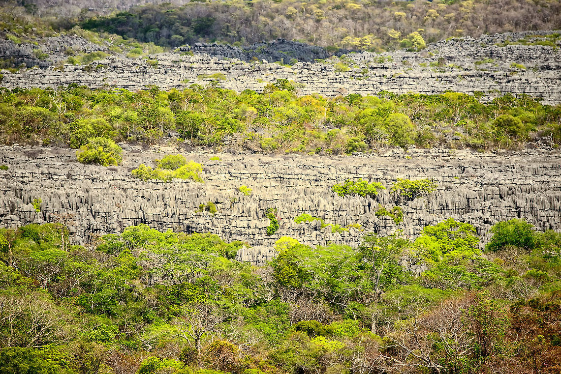 Wall of Ankarana, Tsingy What amazes me most of these Tsingy is not their razor sharp spikes, it&#039;s the horizontal erosion that makes it look as if people stacked these rocks. Africa,Ankarana,Geotagged,Madagascar,Madagascar North,Spring,World
