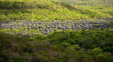 Wall of Ankarana, sun lit Taken from a high vintage point, showing a large section of the Wall of Ankarana, a giant stretch of Tsingy, edged by a cliff. Africa,Ankarana,Geotagged,Madagascar,Madagascar North,Spring,World