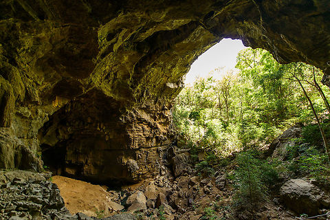 Entry to the Cave of Bats, Ankarana, Madagascar After about 3 hours of hiking on our 2nd day, we arrived at the entrance of this "Cave of Bats", one of many caves in the Ankarana reserve, some to be claimed the longest in the whole of Africa. 

Some cultural rules apply here. You have to take of any hats. Furthermore, "people from the capital" are denied entry altogether, so we had to leave behind our guide here. This is due to a history of tribal warfare. Africa,Ankarana,Madagascar,Madagascar North,World