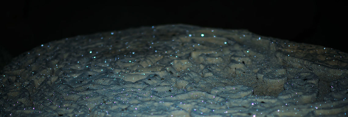 Sparkling rock inside Ankarana Cave of Bats, Madagascar  Africa,Ankarana,Madagascar,Madagascar North,World