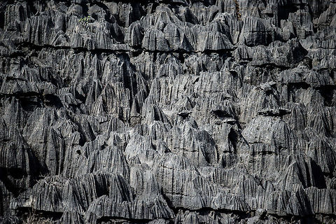 Closeup of Tsingy, Ankarana, Madagascar In earlier times of war, some tribes found refuge in this area, using these spikes as a natural barrier from enemies. Africa,Ankarana,Geotagged,Madagascar,Madagascar North,Spring,World