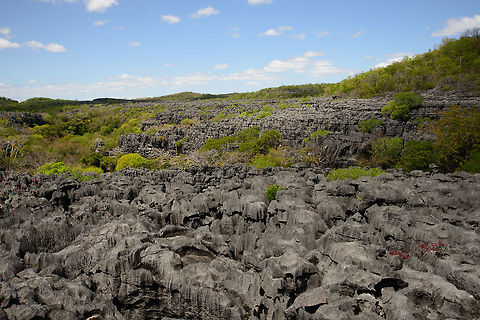 Walking the Ankarana Tsingy On our 2nd day in Ankarana, we first had a hike in the forest which provided some shelter from the heat. Yet ultimately we arrived in the open to reach a viewing point that overlooks the impressive Tsingy formation that stretches for miles. Below a few video impressions of the walk:
https://www.youtube.com/watch?v=vP3L1r3nIcw
https://www.youtube.com/watch?v=nSXe0y2LUsc
https://www.youtube.com/watch?v=gmfRffPYmqA Africa,Ankarana,Geotagged,Madagascar,Madagascar North,Spring,World