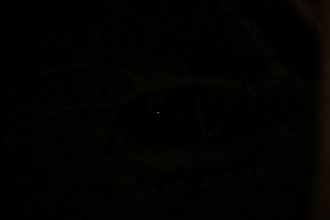 Lemur night photography, Ankarafantsika, Madagascar Check out the tiny eyes in the distance, as seen during  a night tour in Akarafantsika, Madagascar. With 400mm and my speed light at full power, a shot like this is still possible, which surprised me a lot:<br />
<figure class="photo"><a href="https://www.jungledragon.com/image/39431/nocturnal_lemur_ankarafantsika_madagascar.html" title="Nocturnal lemur, Ankarafantsika, Madagascar"><img src="https://s3.amazonaws.com/media.jungledragon.com/images/2/39431_thumb.jpg?AWSAccessKeyId=05GMT0V3GWVNE7GGM1R2&Expires=1770854410&Signature=VRUiIcpwDj8UP9l%2Ft3XXuIBgnkc%3D" width="200" height="134" alt="Nocturnal lemur, Ankarafantsika, Madagascar We did a one hour night tour just outside the Ankarafantsika, since night tours in national parks are prohibited in Madagascar. We spotted the reflection of some lemur eyes in the far distance:<br />
https://www.jungledragon.com/image/39430/lemur_night_photography_ankarafantsika_madagascar.html<br />
<br />
Based on only those tiny eyes in the pitch dark I still managed to get the above shot. It's kind of ridiculous to carry a 400mm at night, but my speed light at maximum power was able to flood the forest with light. Not a thing to overuse, as it obviously disturbs wildlife.<br />
<br />
Anyway, regarding species, our guide suggested the mongoose lemur, but it looks way different. I'm thinking it may be a Milne-Edwards' sportive lemur, but I'll first verify it with an expert. Africa,Ankarafantsika,Geotagged,Lepilemur edwardsi,Madagascar,Madagascar North,Milne-Edwards sportive lemur,Spring,World" /></a></figure> Africa,Ankarafantsika,Geotagged,Lepilemur edwardsi,Madagascar,Madagascar North,Milne-Edwards sportive lemur,Night,Spring,World