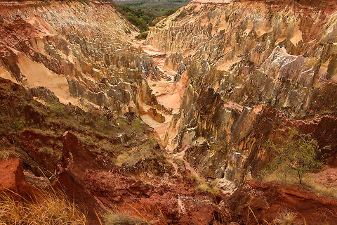Overview of Lavaka of Ankarokaroka, Ankarafantsika, Madagascar Quite a spectacular geological site situated in Ankarafantsika NP, Madagascar.  Africa,Ankarafantsika,Geotagged,Madagascar,Madagascar North,Spring,World