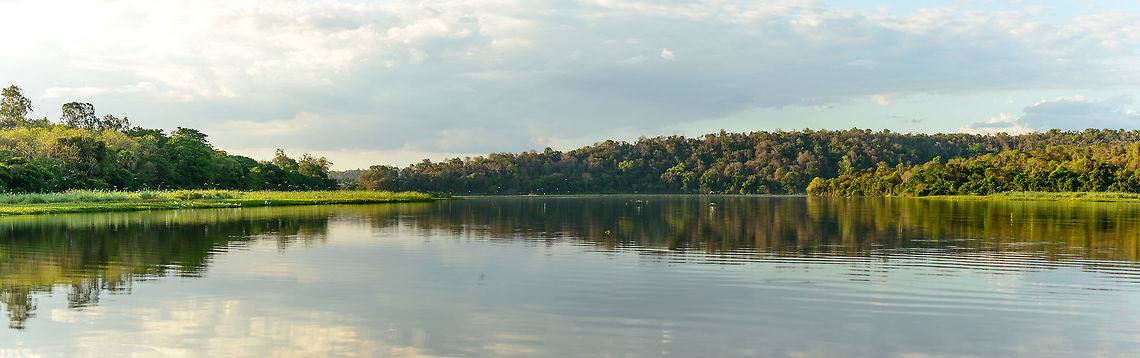 Serene lake, Ankarafantsika, Madagascar An enjoyable moment of the day. This lake is loud and busy with thousands of water birds nesting. Yet during the last hour of the day, all of it quiets down, the sounds, the water.  Africa,Ankarafantsika,Geotagged,Madagascar,Madagascar North,Spring,World