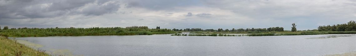 National Park De Biesbosch, Netherlands Panorama of part of NP De Biesbosch, one of the few remaining freshwater tidal wetlands in Northwestern Europe. This is one of our largest national parks, and a very important area for many bird species. <br />
<br />
Just like almost anything in the Netherlands, it is man-made, yet increasingly given back to nature. This policy will continue in the future and will lead to the re introduction and population increase of several bird species. The park is also well known for its healthy and large beaver population, which is unique in the Netherlands. <br />
<br />
Should you ever visit, note that the park is best explored by boat. Biesbosch,Europe,Geotagged,Netherlands,Summer,World