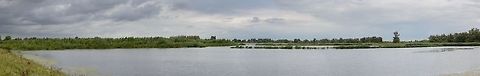 National Park De Biesbosch, Netherlands Panorama of part of NP De Biesbosch, one of the few remaining freshwater tidal wetlands in Northwestern Europe. This is one of our largest national parks, and a very important area for many bird species. 

Just like almost anything in the Netherlands, it is man-made, yet increasingly given back to nature. This policy will continue in the future and will lead to the re introduction and population increase of several bird species. The park is also well known for its healthy and large beaver population, which is unique in the Netherlands. 

Should you ever visit, note that the park is best explored by boat.  Biesbosch,Europe,Geotagged,Netherlands,Summer,World
