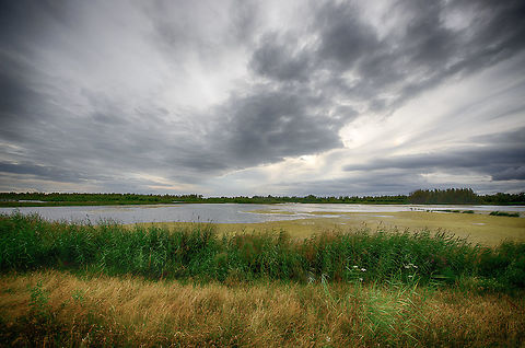 Biesbosch wetlands, Netherlands This scene sums up the Netherlands: flat, lots of water, always shit weather.  Biesbosch,Europe,Geotagged,Netherlands,Summer,World