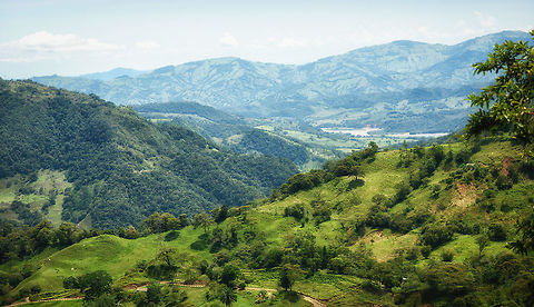 Reserva Almenara scenery, Santa María, Colombia Scenery from our first hike in Colombia on a path named Reserva Almenara. We would look down into this on our right, whilst on the left the scenery goes up steeply. This concerns the most eastern ridge of the South American Andes. Boyacá,Colombia,Reserva Almenara,Santa María,South America,World