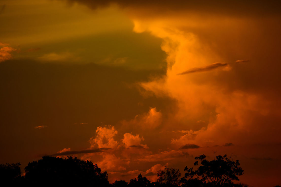 Sunset in the Colombian Amazon At our first night there. Colombia,Fall,Geotagged,Guain&iacute;a,In&iacute;rida,South America,World