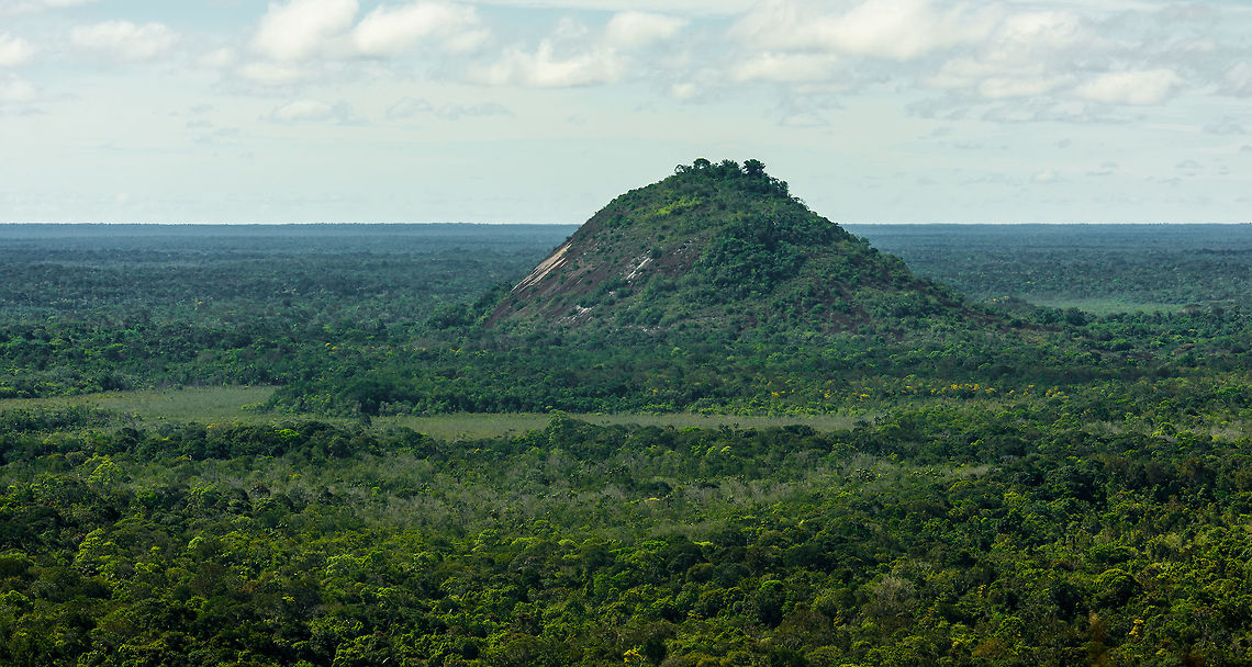 Cerros de Mavecure - opposite side, Inírida, Colombia This is not the Cerros de Mavecure itself, this shot was taken from the site in the opposing direction, showing another hill in the flat Amazonian landscape. I&#039;m unsure what the name of this hill is. Colombia,Fall,Geotagged,Guainía,Inírida,South America,World