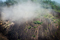 Cerros de Mavecure - Cerro Pajarito foggy, Inírida, Colombia A view of the tops of Cerro Pajarito (Little Bird), one of three mountains that make up the Cerros de Mavecure site. Colombia,Fall,Geotagged,Guainía,Inírida,South America,World
