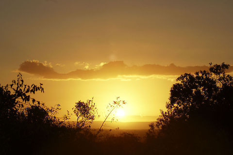 Zulu sunset Wonderful yellowish sunset in Hluwehluwe National Park, South Africa. South Africa,Sunset