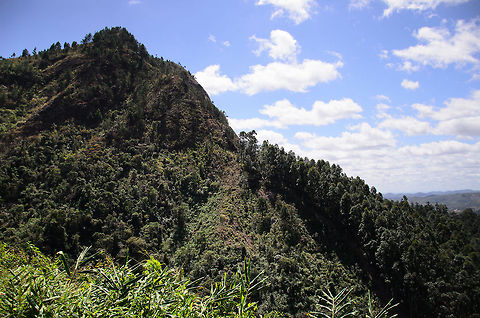 Madagascar, the green island On day 2 of our trip to Madagascar, we left the city of Tana and were on our way to our first wildlife destination: Andasibe. We stopped along the road for a small break and that is where we captured this landscape. Once upon a time, all of Madagascar looked like this, sadly, such a site is increasingly rare due to massive deforestation. Madagascar,Tana