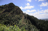 Madagascar, the green island On day 2 of our trip to Madagascar, we left the city of Tana and were on our way to our first wildlife destination: Andasibe. We stopped along the road for a small break and that is where we captured this landscape. Once upon a time, all of Madagascar looked like this, sadly, such a site is increasingly rare due to massive deforestation. Madagascar,Tana