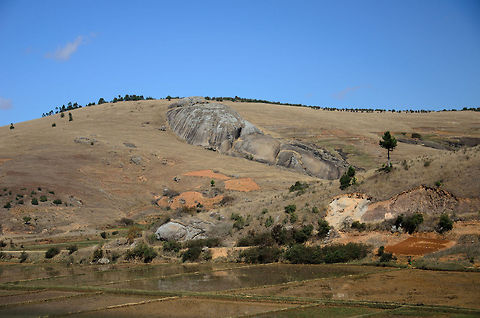Madagascar, the red island This isn't much of a wildlife scene, I admit. I am posting this to show the contrast between Madagascar's natural landscapes, and those "developed" by humans:

http://www.jungledragon.com/image/5877/madagascar_the_green_island.html

The picture above is what you see most as you drive through the country. Steep hills robbed of trees and nothing replanted. Rice fields and small settlements claiming the land, exposing the rocky red soil of Madagascar. Geotagged,Madagascar,Tana