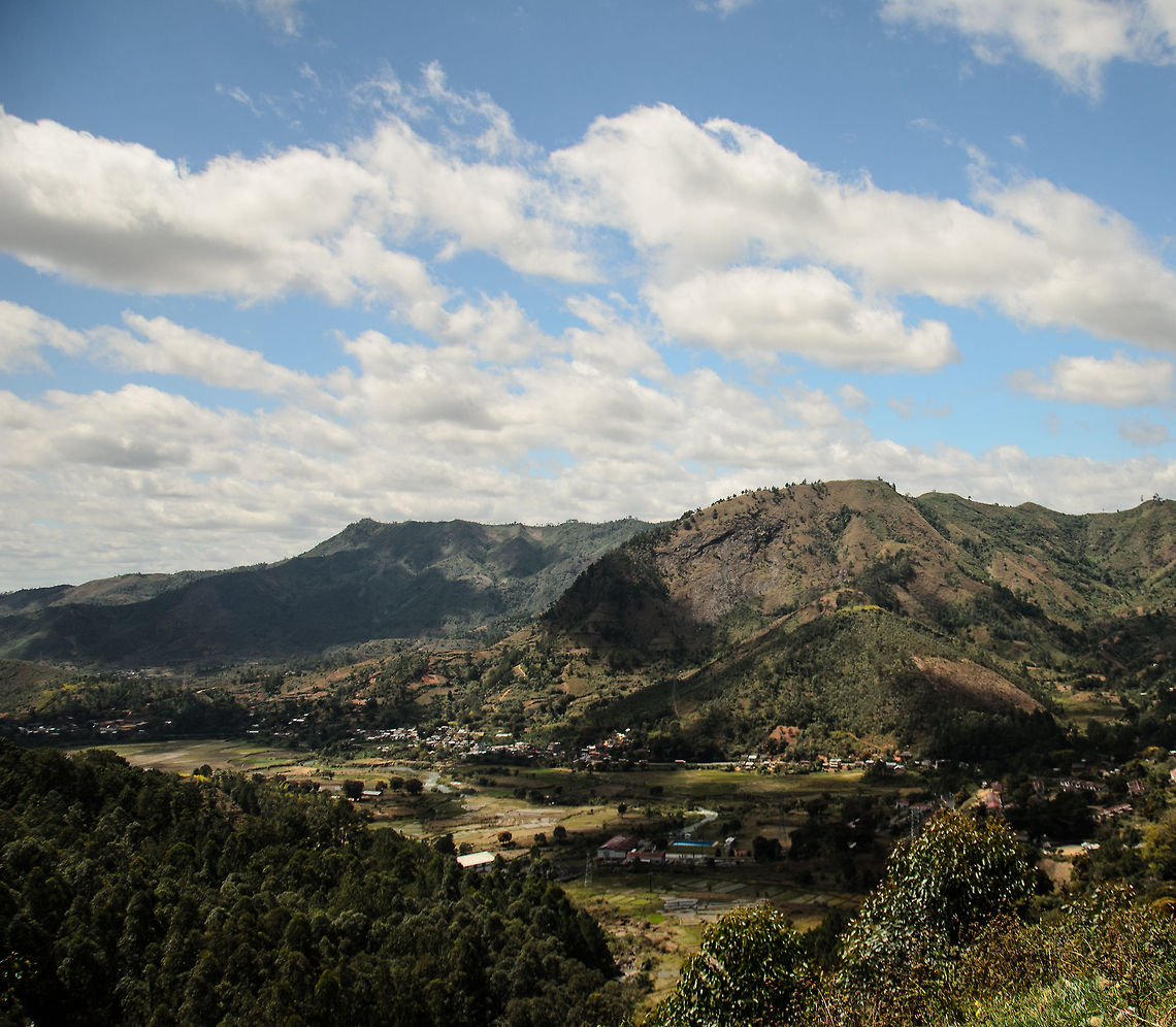 Madagascar mountain range near Tana Madagascar is the home of beautiful landscapes, every turn you make on the road a new painting appears. Yet this one is not as green as it appears. There's the signs of human settlements, but also the green is man-made. They are replanted trees, eucalyptus, that make for fast growing wood. Wood is used above all for heating and cooking, as most citizens do not have access to gas. Geotagged,Madagascar,Tana