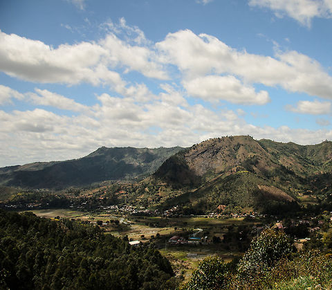 Madagascar mountain range near Tana Madagascar is the home of beautiful landscapes, every turn you make on the road a new painting appears. Yet this one is not as green as it appears. There's the signs of human settlements, but also the green is man-made. They are replanted trees, eucalyptus, that make for fast growing wood. Wood is used above all for heating and cooking, as most citizens do not have access to gas. Geotagged,Madagascar,Tana