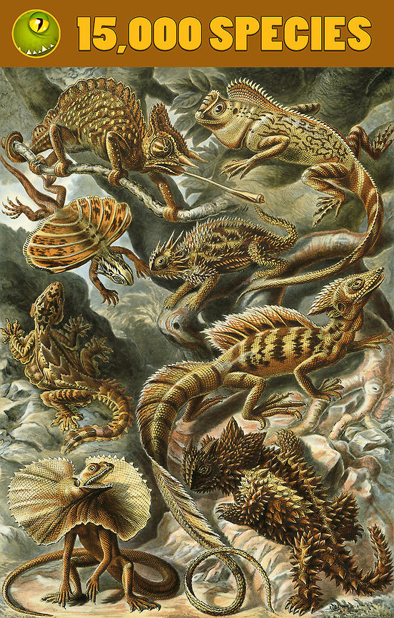 JungleDragon now has 15,000 species! Dear friends of nature,<br />
<br />
<br />
Last week, we passed the stunning milestone of 15,000 species on the platform. Due to Moth Week 2018 getting full attention, we delayed the celebration a bit. It is telling that we're currently at 200 species above the milestone :)<br />
<br />
In the grand scheme of things, 15,000 species can be seen as only a beginning. Especially if you consider the endless supply of insects, fungi and plants. We still have every reason to be proud though. If we'd see our species "catalog" as a book, with each page showing 24 entries, it would be a book of 625 pages. Even if you'd skim through this book with zero regard for details, it would take several hours.<br />
<br />
Indeed, our catalog of species and photos is an asset of beauty and diversity that increasingly is able to stand on its own as a resource. Our treasure chest of timeless value that is getting more valuable with every new observation added. The current rate of species intros is at about 40-70 per week. A relatively stable number of growth that adds up over time into what we have today.<br />
<br />
I regularly explore the species tree just for the sake of joy, and invite you to do the same:<br />
<a href="https://www.jungledragon.com/wildlife/browse" rel="nofollow">https://www.jungledragon.com/wildlife/browse</a><br />
<br />
It reveals many surprises. There's expected popular categories like birds and mammals, but also surprisingly deep niche categories. Who could possible expect 156 stick insects documented?<br />
<a href="https://www.jungledragon.com/wildlife/browse/animalia/arthropoda/insecta/phasmatodea" rel="nofollow">https://www.jungledragon.com/wildlife/browse/animalia/arthropoda/insecta/phasmatodea</a><br />
<br />
Or 165 sea slugs:<br />
<a href="https://www.jungledragon.com/wildlife/browse/animalia/mollusca/gastropoda/nudibranchia" rel="nofollow">https://www.jungledragon.com/wildlife/browse/animalia/mollusca/gastropoda/nudibranchia</a><br />
<br />
Or 239 leaf beetles:<br />
<a href="https://www.jungledragon.com/wildlife/browse/animalia/arthropoda/insecta/coleoptera/chrysomelidae" rel="nofollow">https://www.jungledragon.com/wildlife/browse/animalia/arthropoda/insecta/coleoptera/chrysomelidae</a><br />
<br />
The opposite is also true: some categories are shallow. For example, during Moth Week 2018, we discovered that we barely have any leafroller moths, whilst they are some of the most numerous species in several countries:<br />
<br />
<a href="https://www.jungledragon.com/wildlife/browse/animalia/arthropoda/insecta/lepidoptera/tortricidae" rel="nofollow">https://www.jungledragon.com/wildlife/browse/animalia/arthropoda/insecta/lepidoptera/tortricidae</a><br />
<br />
Needless to say, there's an almost endless opportunity for growth. Where most large and common species (mammals, birds) may often already be on the platform, there's several other categories barely documented. Furthermore, I'd like to emphasize that whilst species intros is the main "sport" on our platform (who doesn't love that feeling when seeing that blue icon), they are not the only goal. You are very much encouraged to keep adding observations of species already on the platform, to supply multiple photos, different angles, sexes, life stages, and behavior. Enriching a species record is just as valuable as adding a new one!<br />
<br />
It is clear that JungleDragon is a big contributor platform where over 80% of new species are added by a small group each having added hundreds, and sometimes over a whopping thousand species. Still, love, respect and credit goes out to all of the community. The size of the set, the quality of identifications, the discussion and encouragement altogether have led to this accomplishment.<br />
<br />
Thank you all for your contribution to this platform!<br />
<br />
<section class="video"><iframe width="448" height="282" src="https://www.youtube-nocookie.com/embed/ziOih3Mgr7s?hd=1&autoplay=0&rel=0" frameborder="0" allowfullscreen></iframe></section> JungleDragon