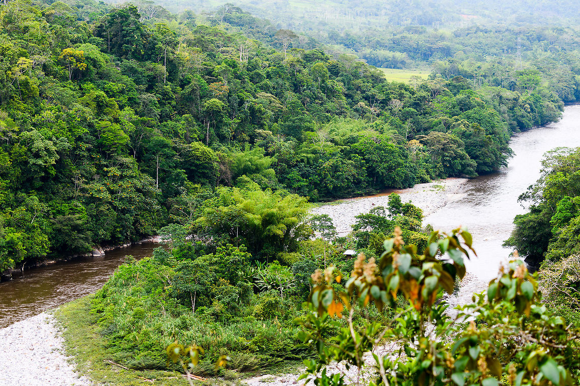 Yunguillo scenery, Colombia After our intense start of several days in the rain forest, we had a few days with more open and mixed areas, which we primarily used to try and capture birds, butterflies and other insects. <br />
<br />
We opened this day with a visit to Yunguillo, a small indigenous community. The Yunguillo area is basically a single long stretched rocky road that goes upwards, with locals living alongside the road. Nothing about it feels indigenous, the people look and behave like any other modern people.  Colombia,Colombia 2018,Colombia South,Fall,Geotagged,Mocoa,Putumayo,South America,World,Yunguillo