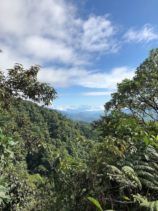 Trampoline of Death scenery, Putumayo, Colombia  Colombia,Fall,Geotagged,Mocoa,Putumayo,South America