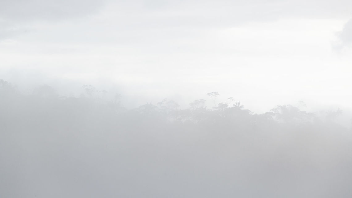 Cloud Forest scenery, Trampoline of Death, Colombia Impression on how cloudy conditions can become as we traveled the Trampoline of Death road between Mocoa and La Cocha. This road is notorious for being dangerous (steep and narrow, single lane). Due to safety improvements like guard rails, the road has become safer and is locally renamed to "Trampoline of Biodiversity".<br />
<br />
Although we were not driving ourselves, we did not find the road *that* unsafe. Speeds are very low (about 20-30kmph) and although single-lane, its spacious enough to not have the feeling of being close to crashing into some valley. The only dangerous aspect is when meeting opposing traffic. One of the two will need to back up to a point wide enough to allow 2 vehicles to pass each other. This requires solid driving skills in a pretty stressful situation. Colombia,Colombia 2018,Colombia South,South America,Trampoline of Death,World