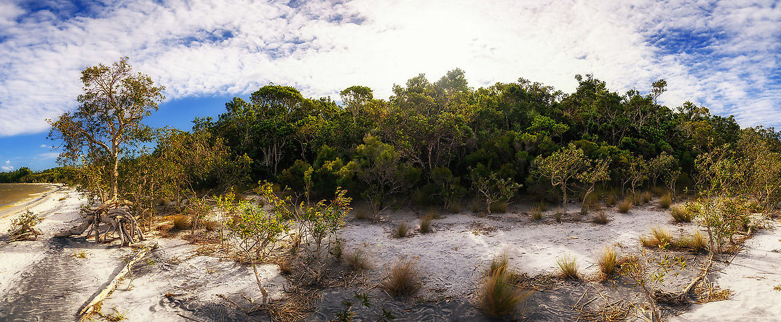 Palmarium coastline, Madagascar On a little solo tour, I completed a hiking path in Palmarium to end up at the beach. This is a photo with Lake Ampitabe behind me, looking back to the edge of the forest. <br />
<br />
This is a panorama of 10 portrait orientation 47MP photos, so quite a lot of pixels. Best experienced full screen, preferably on a large screen. Next, click "Load original" to view its original size that includes all details.<br />
<br />
Big failure of this photo is the overexposed sky, it was too overexposed too fix during post processing.<br />
<br />
If you enjoy huge MP panoramas that allow for deep zooming, note that I maintain a list of them:<br />
<ul class="collections-simple"><li><a href="https://www.jungledragon.com/list/159" title="view as slideshow" class="button slideshow"><em class="fa fa-bookmark"></em>Wildlife Mega Panoramas</a></li></ul> Africa,Geotagged,Madagascar,Madagascar 2019,Palmarium reserve,Winter,World