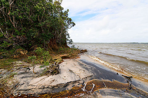 Palmarium beach, Madagascar Lake Ampitabe on the right, forest edge of the private Palmarium reserve on the left. Africa,Madagascar,Madagascar 2019,Palmarium reserve,World