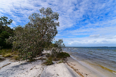 Palmarium coast, Madagascar https://www.jungledragon.com/image/88960/palmarium_coast_-_2_madagascar.html
https://www.jungledragon.com/image/88961/palmarium_coast_-_3_madagascar.html
https://www.jungledragon.com/image/88962/palmarium_coast_-_4_madagascar.html Africa,Geotagged,Madagascar,Madagascar 2019,Palmarium reserve,Winter,World