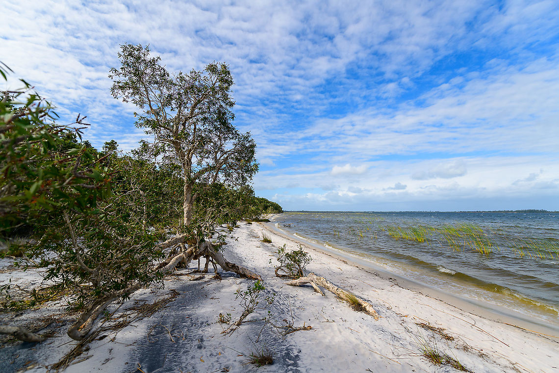 Palmarium coast - 2, Madagascar <figure class="photo"><a href="https://www.jungledragon.com/image/88959/palmarium_coast_madagascar.html" title="Palmarium coast, Madagascar"><img src="https://s3.amazonaws.com/media.jungledragon.com/images/2/88959_thumb.jpg?AWSAccessKeyId=05GMT0V3GWVNE7GGM1R2&Expires=1770854410&Signature=TlJ%2BShggnyCKiR2mFBGcRRB8HKs%3D" width="200" height="134" alt="Palmarium coast, Madagascar https://www.jungledragon.com/image/88960/palmarium_coast_-_2_madagascar.html<br />
https://www.jungledragon.com/image/88961/palmarium_coast_-_3_madagascar.html<br />
https://www.jungledragon.com/image/88962/palmarium_coast_-_4_madagascar.html Africa,Geotagged,Madagascar,Madagascar 2019,Palmarium reserve,Winter,World" /></a></figure><br />
<figure class="photo"><a href="https://www.jungledragon.com/image/88961/palmarium_coast_-_3_madagascar.html" title="Palmarium coast - 3, Madagascar"><img src="https://s3.amazonaws.com/media.jungledragon.com/images/2/88961_thumb.jpg?AWSAccessKeyId=05GMT0V3GWVNE7GGM1R2&Expires=1770854410&Signature=WjL0HKMKEaAdCqH2hjXKHnYseEQ%3D" width="200" height="134" alt="Palmarium coast - 3, Madagascar https://www.jungledragon.com/image/88959/palmarium_coast_madagascar.html<br />
https://www.jungledragon.com/image/88960/palmarium_coast_-_2_madagascar.html<br />
https://www.jungledragon.com/image/88962/palmarium_coast_-_4_madagascar.html Africa,Geotagged,Madagascar,Madagascar 2019,Palmarium reserve,Winter,World" /></a></figure><br />
<figure class="photo"><a href="https://www.jungledragon.com/image/88962/palmarium_coast_-_4_madagascar.html" title="Palmarium coast - 4, Madagascar"><img src="https://s3.amazonaws.com/media.jungledragon.com/images/2/88962_thumb.jpg?AWSAccessKeyId=05GMT0V3GWVNE7GGM1R2&Expires=1770854410&Signature=7FGnInlD%2F%2FQF8CWkI%2BrD8y4C8KY%3D" width="200" height="134" alt="Palmarium coast - 4, Madagascar https://www.jungledragon.com/image/88959/palmarium_coast_madagascar.html<br />
https://www.jungledragon.com/image/88960/palmarium_coast_-_2_madagascar.html<br />
https://www.jungledragon.com/image/88961/palmarium_coast_-_3_madagascar.html Africa,Geotagged,Madagascar,Madagascar 2019,Palmarium reserve,Winter,World" /></a></figure> Africa,Geotagged,Madagascar,Madagascar 2019,Palmarium reserve,Winter,World